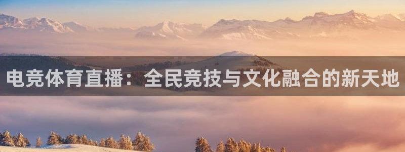 833体育在线直播：电竞体育直播：全民竞技与文化融合的新天地