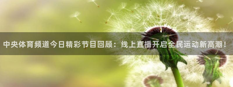 833足球直播：中央体育频道今日精彩节目回顾：线上直播开启全民运动新高潮！