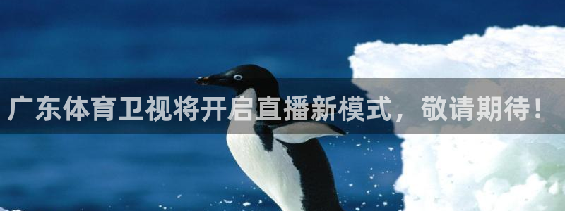 833体育在线直播在线看：广东体育卫视将开启直播新模式，敬请期待！