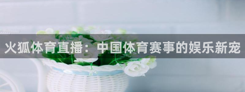 833体育在线直播在线看免费版：火狐体育直播：中国体育赛事的娱乐新宠