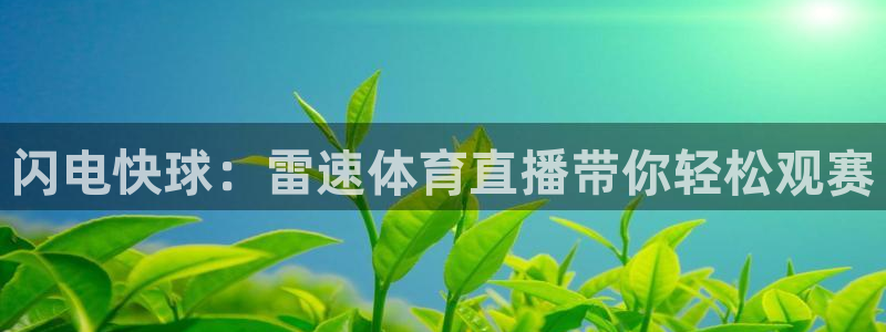 833直播：闪电快球：雷速体育直播带你轻松观赛