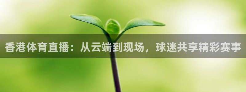 833直播足球免费观看：香港体育直播：从云端到现场，球迷共享精彩赛事