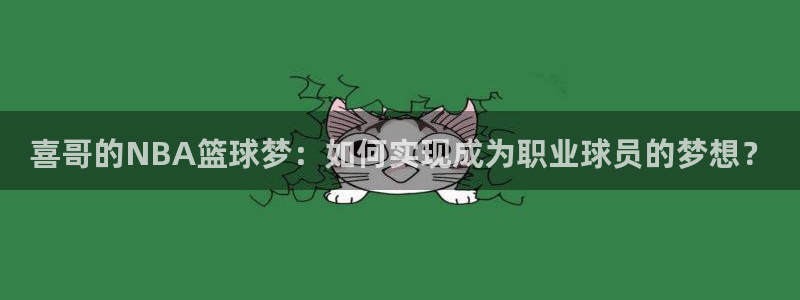 833体育赛事直播：喜哥的NBA篮球梦：如何实现成为职业球员的梦想？