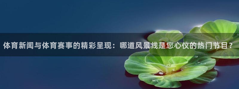3833tv直播nba免看：体育新闻与体育赛事的精彩呈现：哪道风景线是您心仪的热门节目？