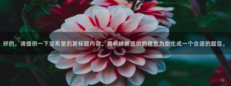 3833tv直播nba免看：好的，请提供一下您希望的新标题内容。我将根据提供的信息为您生成一个合适的题目。