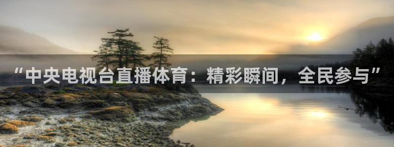 833足球直播免费直播：“中央电视台直播体育：精彩瞬间，全民参与”
