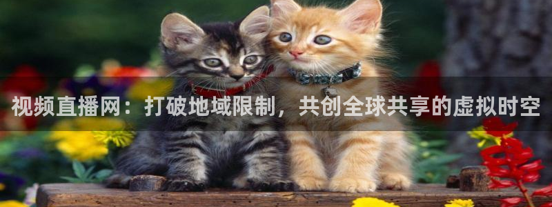 833足球直播：视频直播网：打破地域限制，共创全球共享的虚拟时空