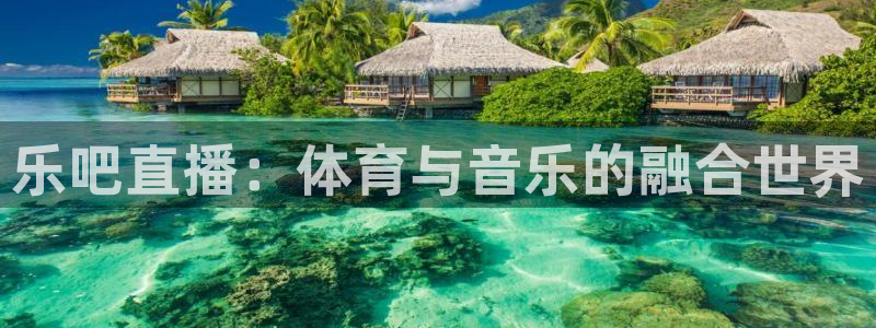 833篮球直播免费高清直播：乐吧直播：体育与音乐的融合世界